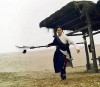 flying swords of dragons gate 2.jpg